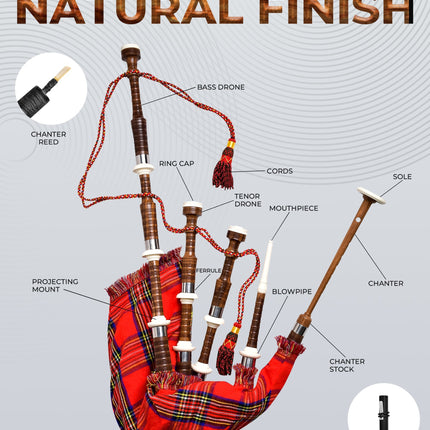 Full Size Rosewood Bagpipe with Box | Royal Stewart