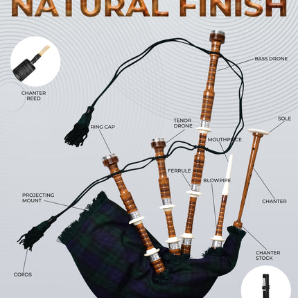 Full Size Rosewood Bagpipe with Box | Black Watch