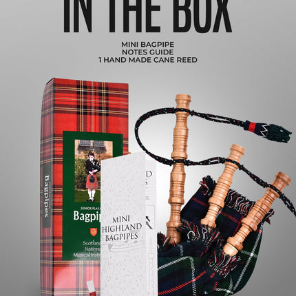 Mini Miniature Bagpipe - Rosewood Bagpipe for Beginners, Playable Gift | Mackenzie